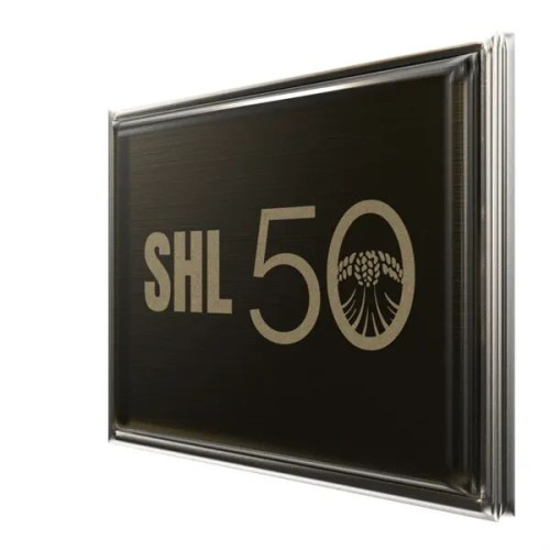 Rectangle Lapel Pins (Express)