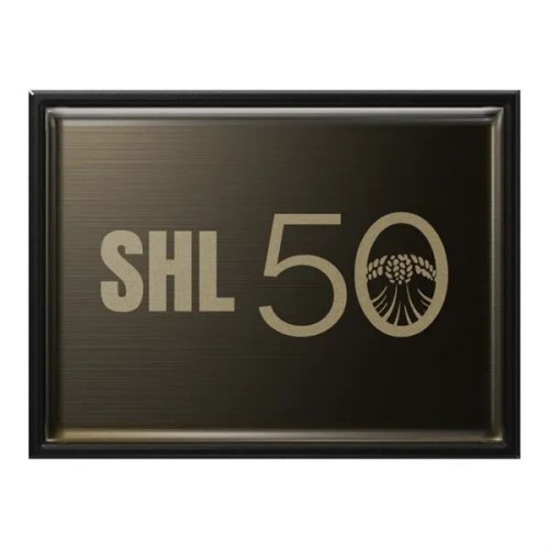 Rectangle Lapel Pins (Express)