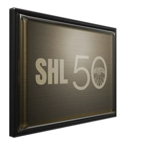 Rectangle Lapel Pins (Express)