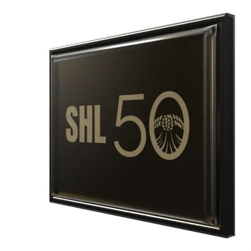 Rectangle Lapel Pins (Express)