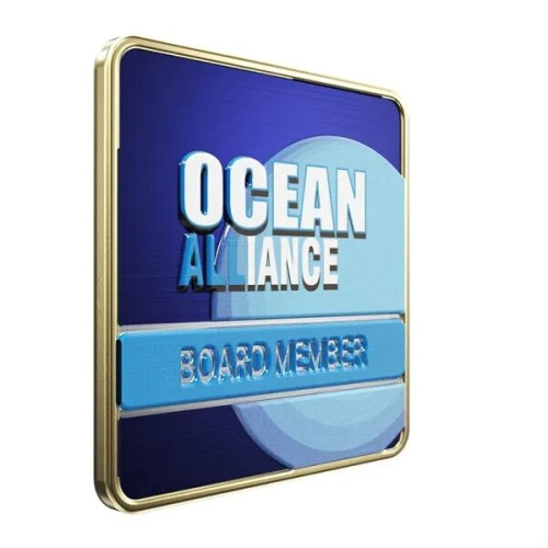 Square Radius Lapel Pins (Express)