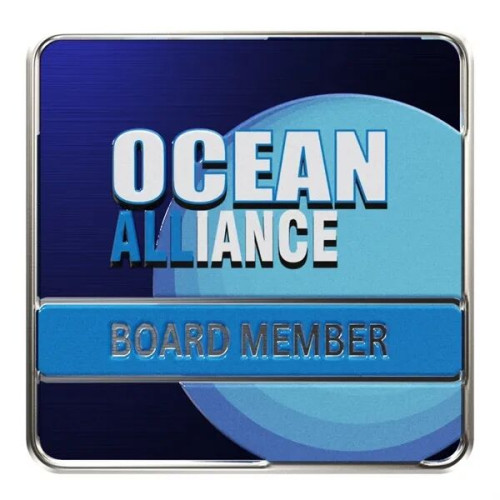 Square Radius Lapel Pins (Express)