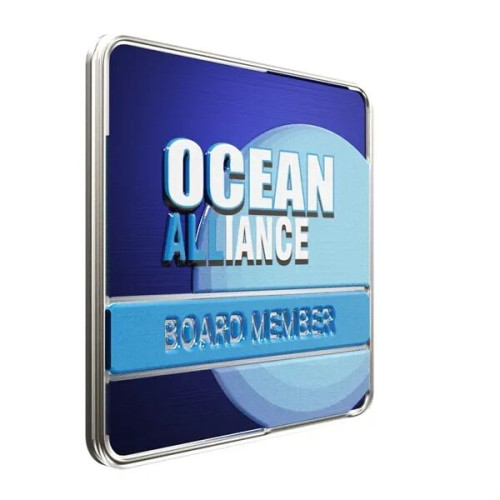 Square Radius Lapel Pins (Express)