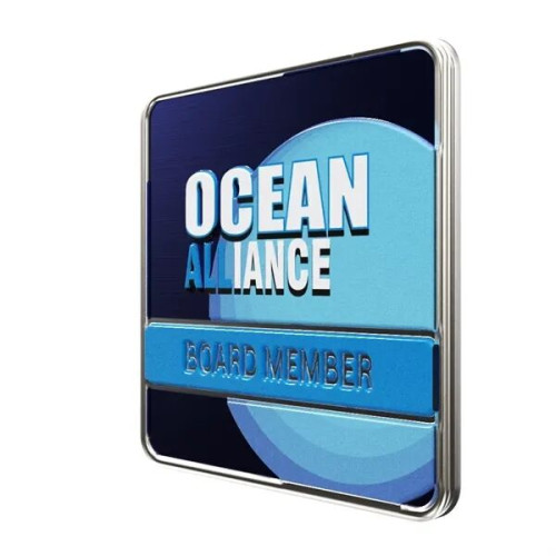 Square Radius Lapel Pins (Express)