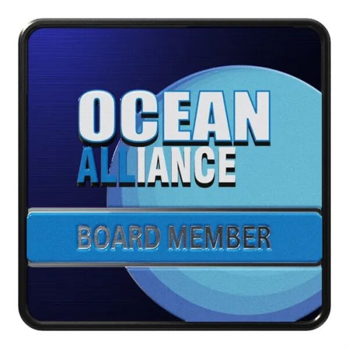 Square Radius Lapel Pins (Express)