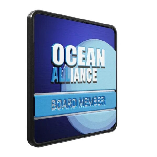 Square Radius Lapel Pins (Express)