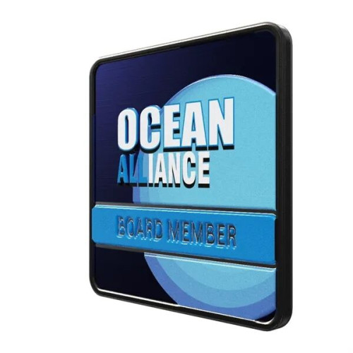 Square Radius Lapel Pins (Express)