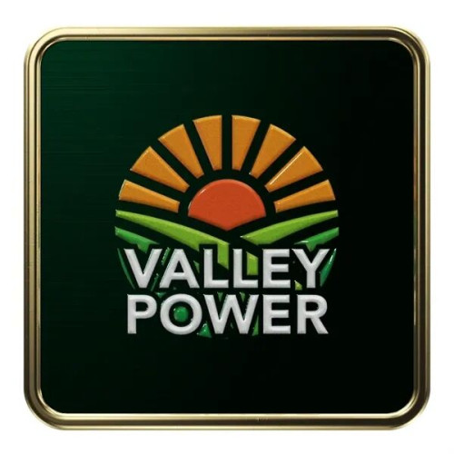 Square Radius Lapel Pins (Express)