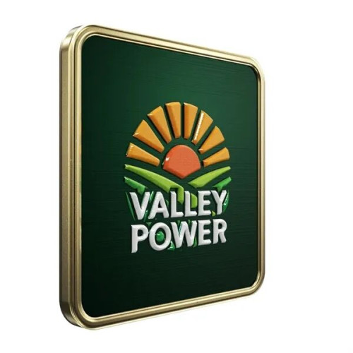 Square Radius Lapel Pins (Express)