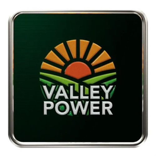 Square Radius Lapel Pins (Express)