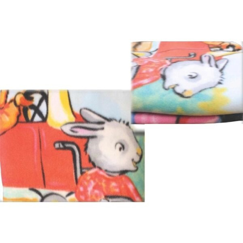 Stadium Blanket 45"x 55" Screen Printed