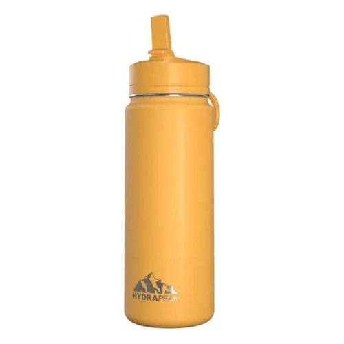 20 oz Hydrapeak® Stainless Steel Mini Bottle w/ Straw Lid