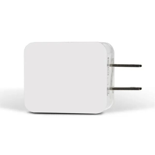 20 Watt Type C and USB Wall Adaptor