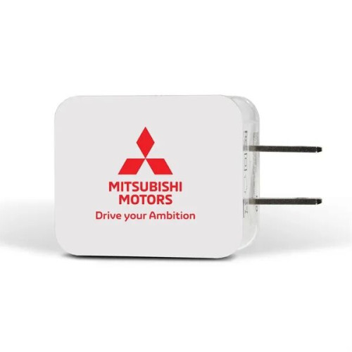 20 Watt Type C and USB Wall Adaptor