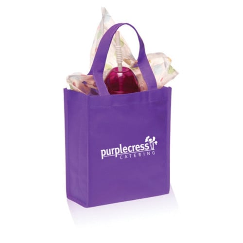 Non-Woven Small Gift Bags