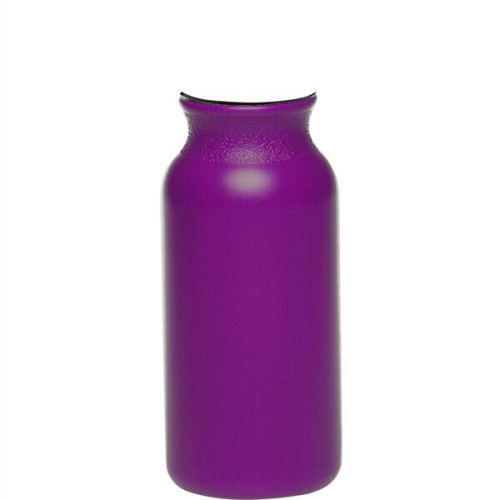 20 oz. Water Bottles with Push Cap