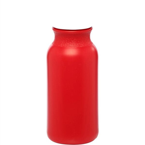 20 oz. Water Bottles with Push Cap