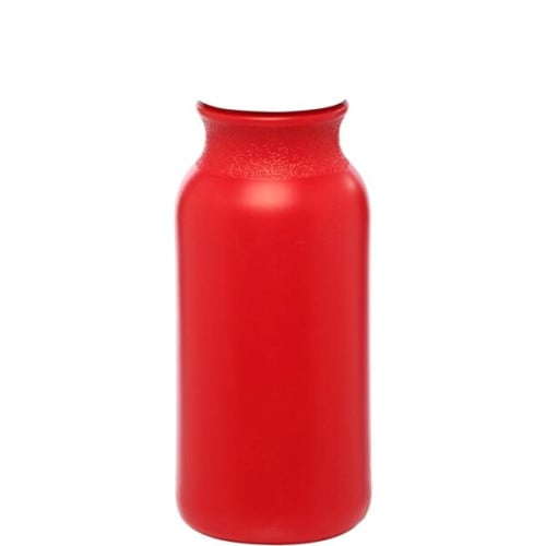 20 oz. Water Bottles with Push Cap