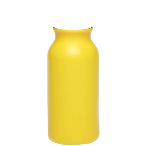 20 oz. Water Bottles with Push Cap