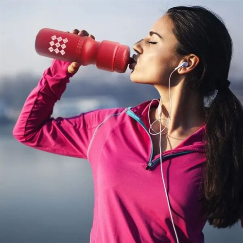28 oz. Push Cap Plastic Water Bottle