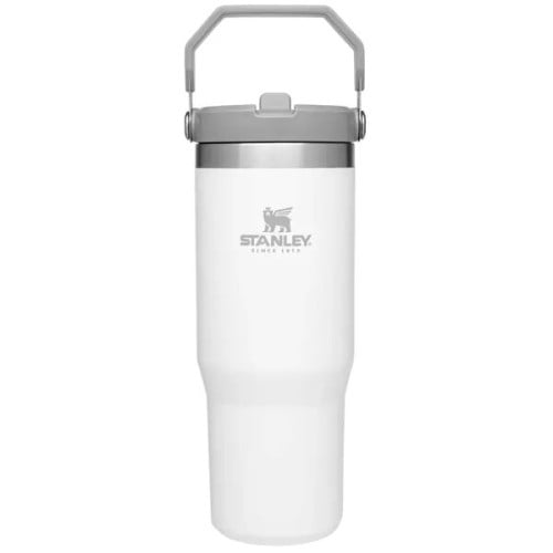 30 oz Stanley® Stainless Steel Insulated Flip Straw Jug