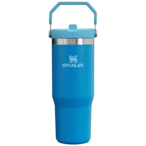30 oz Stanley® Stainless Steel Insulated Flip Straw Jug