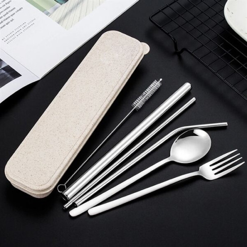 Stainless Steel Utensils with Case Set of 6