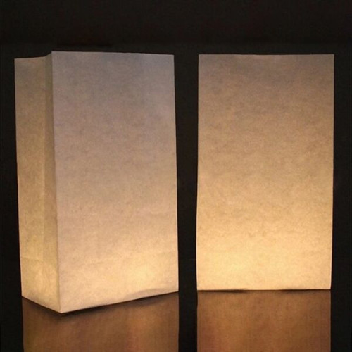 Flame Resistant Luminary Bag