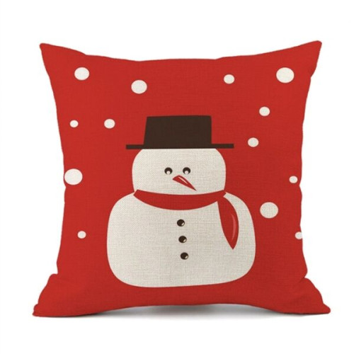 Square Throw Pillow Cushion