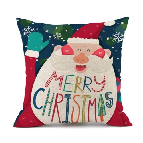 Square Throw Pillow Cushion