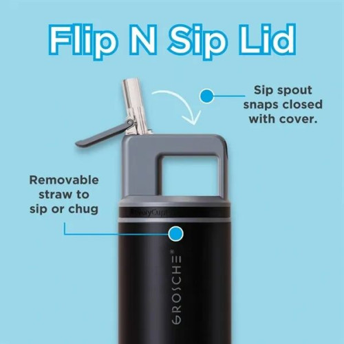 20 oz. GROSCHE® Flip 'N Sip Insulated Straw Water Bottle