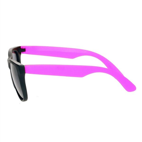 Two Tone Plastic Sunglasses