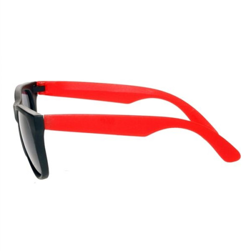 Two Tone Plastic Sunglasses