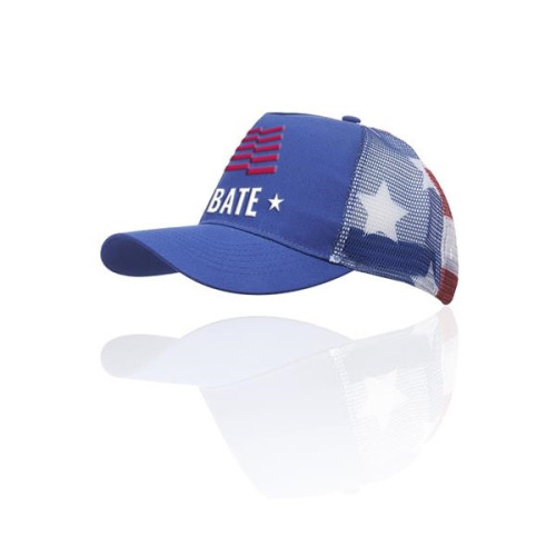 Structured Patriotic Ball Cap