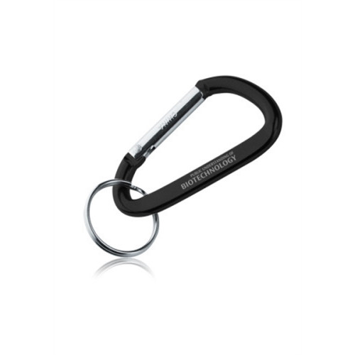 Metal Carabiner Keychains