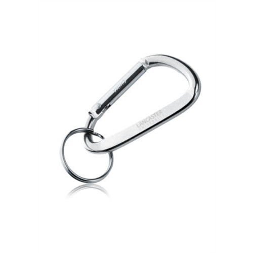 Metal Carabiner Keychains