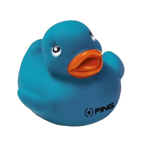 Colorful Duck