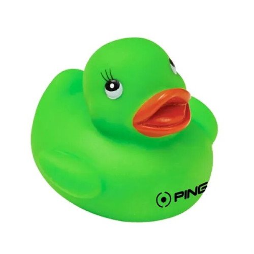Colorful Duck