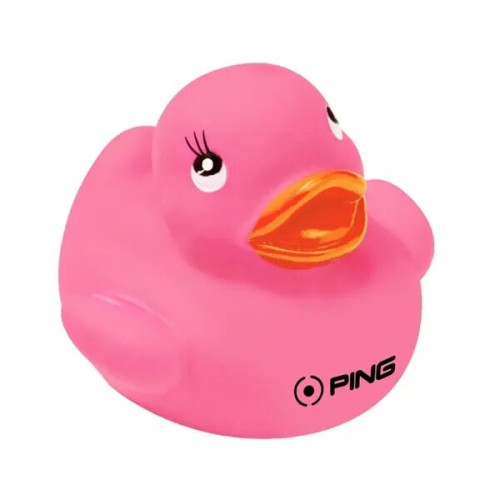 Colorful Duck