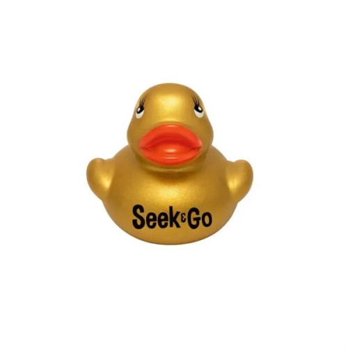 Colorful Duck