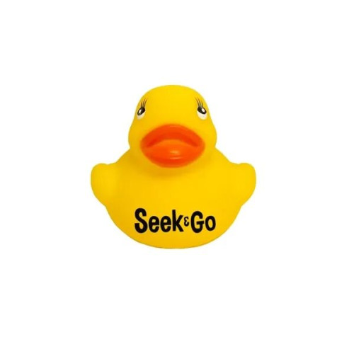 Colorful Duck