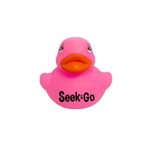 Colorful Duck