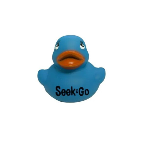Colorful Duck