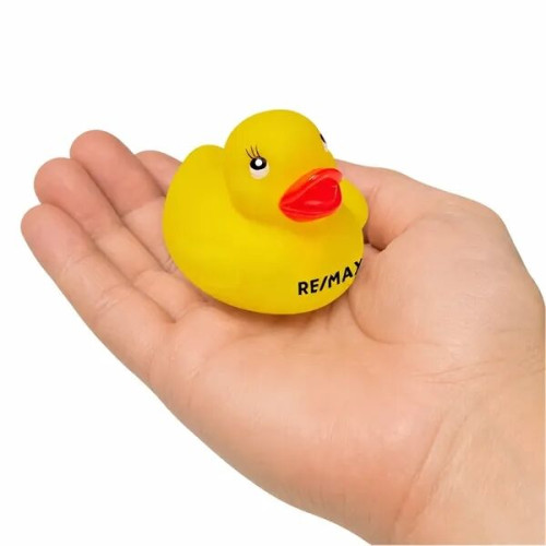 Colorful Duck