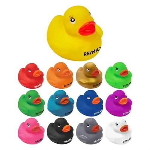 Colorful Duck