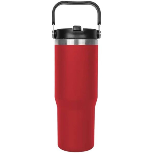 Insulated Stainless Steel Tumbler w/Straw handle lid