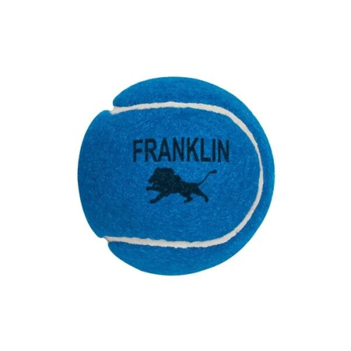 Professional Tennis Ball