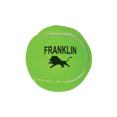 Professional Tennis Ball