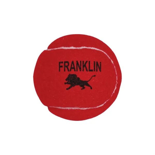 Professional Tennis Ball