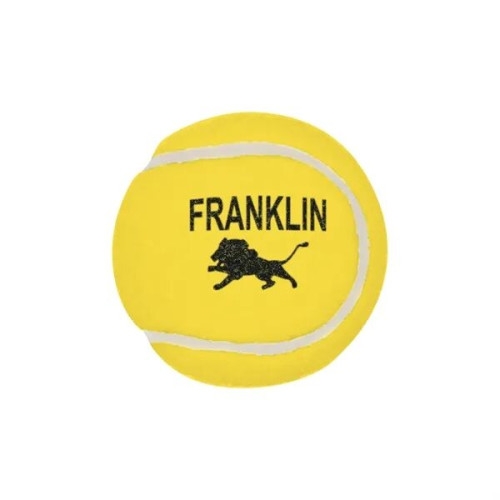 Professional Tennis Ball